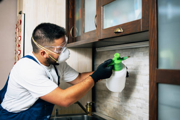 Best Commercial Pest Control Services  in Greenwood, LA