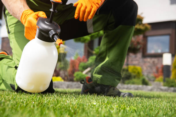 Best Spider Control Near Me  in Greenwood, LA