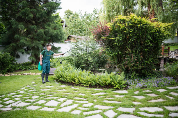 Best Local Pest Control Services  in Greenwood, LA