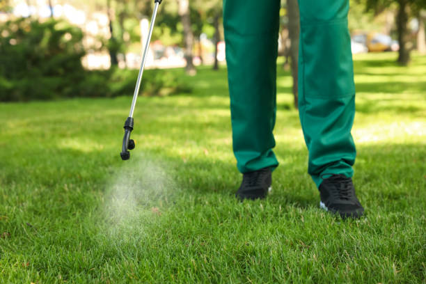 Best Affordable Pest Control Services  in Greenwood, LA