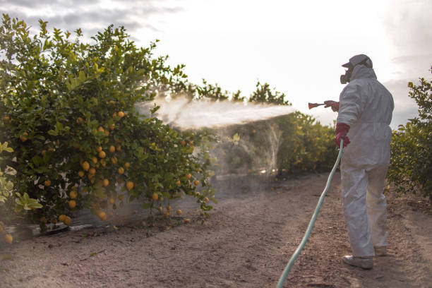 Best Rat Extermination Near Me  in Greenwood, LA