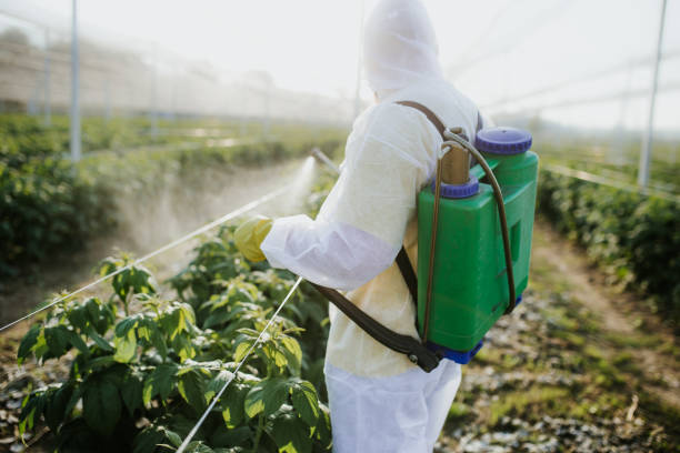 Best Pest Inspection Near Me  in Greenwood, LA